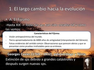 1. El largo cambio hacia la evolución
• A. El Fijismo
-Hasta XIX -> Todas las sps han sido creadas tal y como
las vemos.
Características del Fijismo:
- Visión antropocéntrica del mundo.
- Tierra aproximadamente de 6000 años de antigüedad (interpretación del Génesis).
- Falsas evidencias del sentido común: Observaciones que parecen obvias y que se
presentan como pruebas irrefutables pero so erróneas.
Georges Cuvier (1769 – 1832), paleontólogo y fijista.
Extinción de sps debido a grandes catástrofes y
después surgen nuevas sps.
 