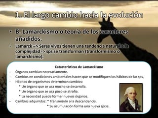 1. El largo cambio hacia la evolución
• B. Lamarckismo o teoría de los caracteres
añadidos.
- Lamarck –> Seres vivos tienen una tendencia natural a la
complejidad -> sps se transforman (transformismo o
lamarckismo).
Catacterísticas de Lamarckismo
- Órganos cambian necesariamente.
- Cambios en condiciones ambientales hacen que se modifiquen los hábitos de las sps.
- Hábitos de organismos determinan cambios:
* Un órgano que se usa mucho se desarrolla.
* Un órgano que se usa poco se atrofia.
* La necesidad puede formar nuevos órganos.
- Cambios adquiridos: * Transmisión a la descendencia.
* Su acumulación forma una nueva spcie.
 