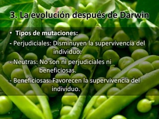 3. La evolución después de Darwin
• Tipos de mutaciones:
- Perjudiciales: Disminuyen la supervivencia del
individuo.
- Neutras: No son ni perjudiciales ni
beneficiosas.
- Beneficiosas: Favorecen la supervivencia del
individuo.
 
