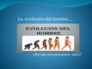 La evolución del hombre….
¿Por que nos parecemos tanto?
 
