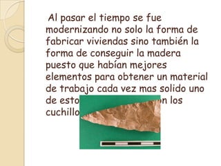    Al pasar el tiempo se fue modernizando no solo la forma de fabricar viviendas sino también la forma de conseguir la madera puesto que habían mejores elementos para obtener un material de trabajo cada vez mas solido uno de estos elementos fueron los cuchillo de piedra.
