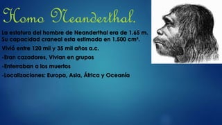Homo Neanderthal.
La estatura del hombre de Neanderthal era de 1.65 m.
Su capacidad craneal esta estimada en 1.500 cm³.
Vivió entre 120 mil y 35 mil años a.c.
-Eran cazadores, Vivian en grupos
-Enterraban a los muertos
-Localizaciones: Europa, Asia, África y Oceanía
 