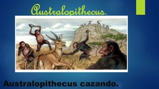 Australopithecus.
Australopithecus cazando.
 
