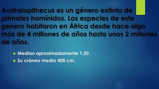 Australopithecus es un género extinto de
primates homínidos. Las especies de este
genero habitaron en África desde hace algo
más de 4 millones de años hasta unos 2 millones
de años.
 Median aproximadamente 1,20 .
 Su cráneo media 400 cm3
 