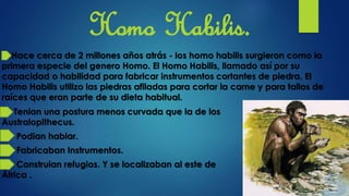 Homo Habilis.
Hace cerca de 2 millones años atrás - los homo habilis surgieron como la
primera especie del genero Homo. El Homo Habilis, llamado así por su
capacidad o habilidad para fabricar instrumentos cortantes de piedra. El
Homo Habilis utilizo las piedras afiladas para cortar la carne y para tallos de
raíces que eran parte de su dieta habitual.
Tenian una postura menos curvada que la de los
Australopithecus.
Podian hablar.
Fabricaban Instrumentos.
Construian refugios. Y se localizaban al este de
África .
 