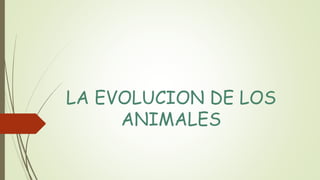 LA EVOLUCION DE LOS
ANIMALES
 