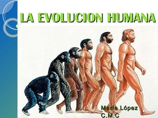 LA EVOLUCION HUMANA María López C.M.C 