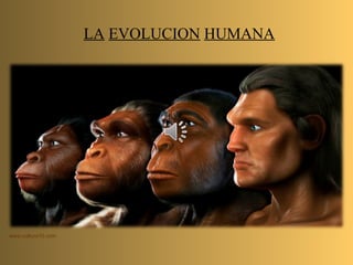 LA EVOLUCION HUMANA
www.cultura10.com
 