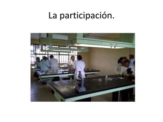La participación.