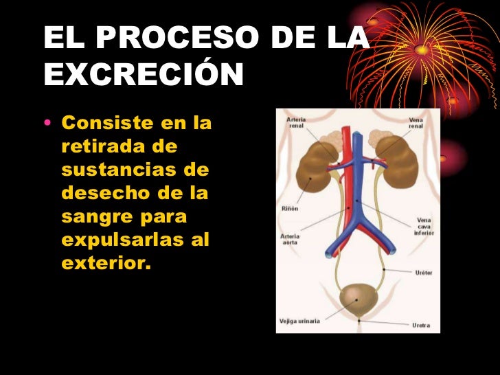 La excreción