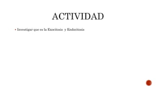  Investigar que es la Exocitosis y Endocitosis
 