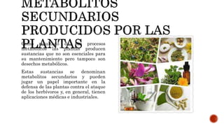 Como resultado de sus procesos
metabólicos las plantas producen
sustancias que no son esenciales para
su mantenimiento pero tampoco son
desechos metabólicos.
Estas sustancias se denominan
metabolitos secundarios y pueden
jugar un papel importante en la
defensa de las plantas contra el ataque
de los herbívoros y, en general, tienen
aplicaciones médicas e industriales.
 