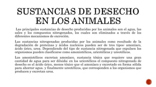 Las principales sustancias de desecho producidas por los animales son el agua, las
sales y los compuestos nitrogenados, los cuales son eliminados a través de los
diferentes mecanismos de excreción.
Las sustancias nitrogenadas producidas por los animales como resultado de la
degradación de proteínas y ácidos nucleicos pueden ser de tres tipos: amoníaco,
ácido úrico, urea. Dependiendo del tipo de sustancia nitrogenada que expulsen los
organismos pueden clasificarse como amoniotélicos, uricotélicos y ureotélicos.
Los amoniotélicos excretan amoníaco, sustancia tóxica que requiere una gran
cantidad de agua para ser diluida; en los uricotélicos el compuesto nitrogenado de
desecho es el ácido úrico, menos tóxico que el amoníaco y excretado en forma sólida
para ahorrar agua. y finalmente ureotélicos, que corresponden a los organismos que
producen y excretan urea.
 