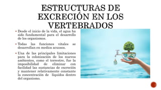  Desde el inicio de la vida, el agua ha
sido fundamental para el desarrollo
de los organismos.
 Todas las funciones vitales se
desarrollan en medios acuosos.
 Una de las principales limitaciones
para la colonización de los nuevos
ambientes, como el terrestre, fue la
imposibilidad de eliminar con
facilidad las sustancias de excreción
y mantener relativamente constante
la concentración de líquidos dentro
del organismo.
 