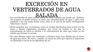  Los vertebrados de agua salada tienen un medio interno que puede ser isotónico
con respecto al medio externo, es decir, con concentraciones de agua y sales muy
similares a las del medio donde viven. Este es el caso de los peces cartilaginosos
(tiburones y rayas).
 Otros animales, por el contrario, viven en medios hipotónicos como ocurre con los
peces y demás organismos acuáticos que viven en medios en los que la
concentración de sales es inferior a la concentración de sales que existe en las
células que forman su cuerpo.
 En estos últimos existe una tendencia a eliminar orina muy diluida por el exceso
de agua que entra. En aves y reptiles, el exceso de sales que ingresa al organismo
es eliminado a través de las glándulas de sal.
 