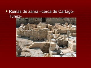  Ruinas de zama –cerca de Cartago-
 Túnez-
 