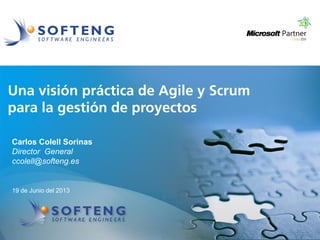 proyecto:
Una visión práctica de Agile y Scrum
para la gestión de proyectos
19 de Junio del 2013
Carlos Colell Sorinas
Director General
ccolell@softeng.es
 