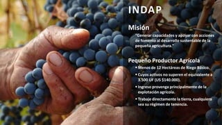 La experiencia de INDAP en chile
