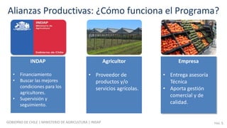 La experiencia de INDAP en chile