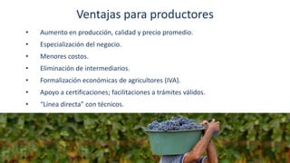 La experiencia de INDAP en chile