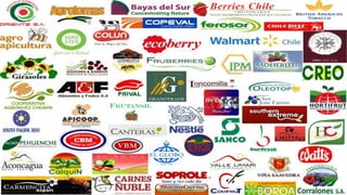 La experiencia de INDAP en chile