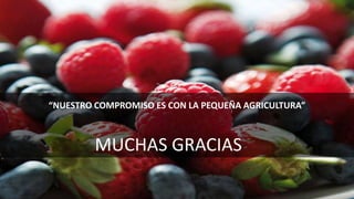 La experiencia de INDAP en chile