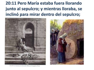 20:11 Pero María estaba fuera llorando junto al sepulcro; y mientras lloraba, se inclinó para mirar dentro del sepulcro; 