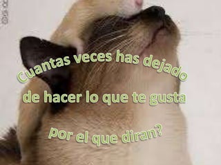 Cuantas veces has dejado de hacer lo que te gusta por el que diran?