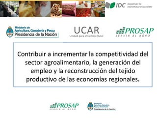 La experiencia prosap en iniciativas de desarrollo de clusters