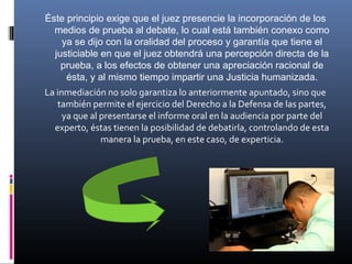 Éste principio exige que el juez presencie la incorporación de los
medios de prueba al debate, lo cual está también conexo como
ya se dijo con la oralidad del proceso y garantía que tiene el
justiciable en que el juez obtendrá una percepción directa de la
prueba, a los efectos de obtener una apreciación racional de
ésta, y al mismo tiempo impartir una Justicia humanizada.
La inmediación no solo garantiza lo anteriormente apuntado, sino que
también permite el ejercicio del Derecho a la Defensa de las partes,
ya que al presentarse el informe oral en la audiencia por parte del
experto, éstas tienen la posibilidad de debatirla, controlando de esta
manera la prueba, en este caso, de experticia.
 