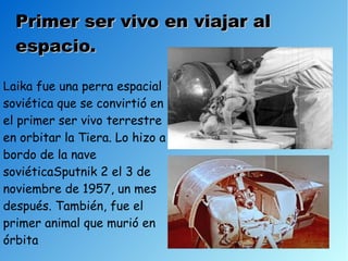 Primer ser vivo en viajar al
  espacio.

Laika fue una perra espacial
soviética que se convirtió en
el primer ser vivo terrestre
en orbitar la Tiera. Lo hizo a
bordo de la nave
soviéticaSputnik 2 el 3 de
noviembre de 1957, un mes
después. También, fue el
primer animal que murió en
órbita
 