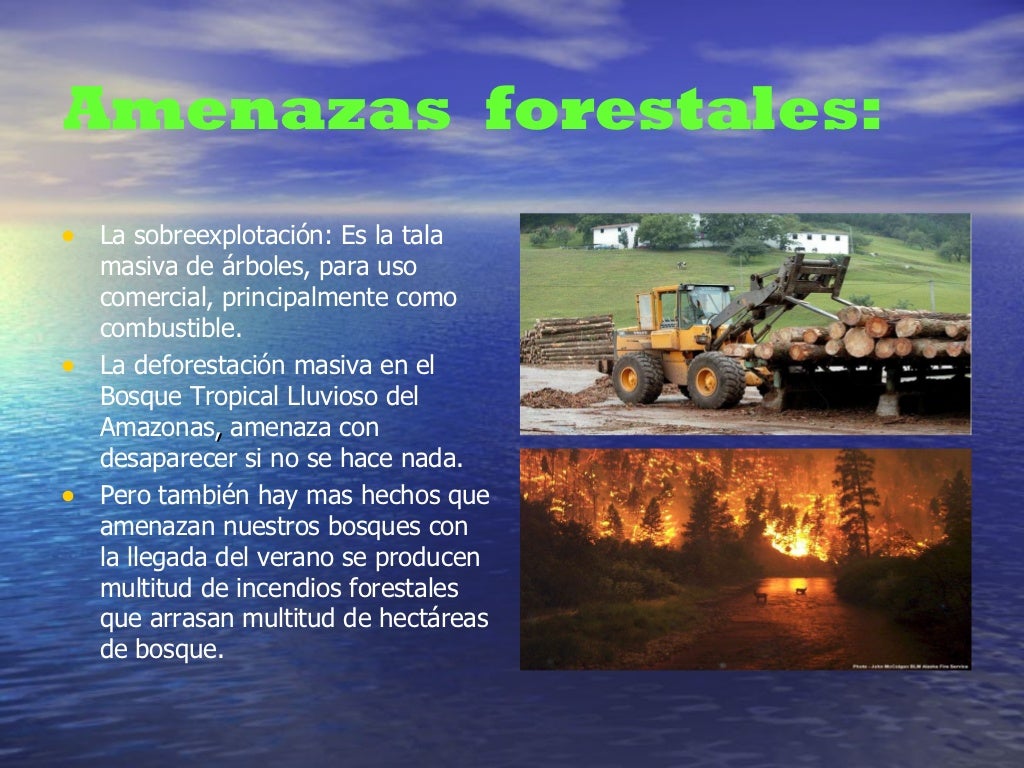 La explotación de los recursos naturales La explotación de los recursos naturales