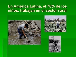 En América Latina, el 70% de los niños, trabajan en el sector rural 