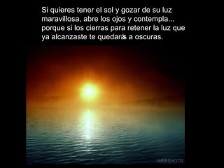 Si quieres tener el sol y gozar de su luz maravillosa, abre los ojos y contempla... porque si los cierras para retener la luz que ya alcanzaste te quedarás a oscuras.  VMGR/05 