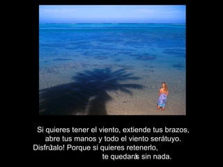 Si quieres tener el viento, extiende tus brazos,
abre tus manos y todo el viento serátuyo.
Disfrútalo! Porque si quieres retenerlo,
te quedarás sin nada.
 