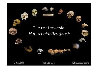 The controversial 
Homo heidelbergensis
Roberto Sáezv. 9/11/2016 Nutcrackerman.com
 