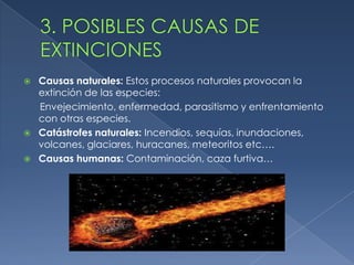    Causas naturales: Estos procesos naturales provocan la
    extinción de las especies:
    Envejecimiento, enfermedad, parasitismo y enfrentamiento
    con otras especies.
   Catástrofes naturales: Incendios, sequías, inundaciones,
    volcanes, glaciares, huracanes, meteoritos etc….
   Causas humanas: Contaminación, caza furtiva…
 