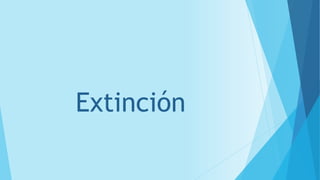 Extinción 
 