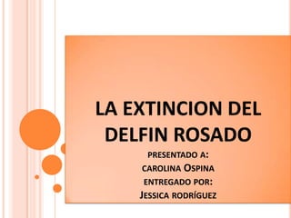 LA EXTINCION DEL
 DELFIN ROSADO
      PRESENTADO A:
     CAROLINA OSPINA
     ENTREGADO POR:
    JESSICA RODRÍGUEZ
 