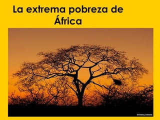 La extrema pobreza de África 