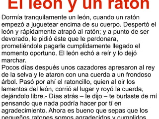 El león y un ratón Dormía tranquilamente un león, cuando un ratón empezó a juguetear encima de su cuerpo. Despertó el león y rápidamente atrapó al ratón; y a punto de ser devorado, le pidió éste que le perdonara, prometiéndole pagarle cumplidamente llegado el momento oportuno. El león echó a reír y lo dejó marchar. Pocos días después unos cazadores apresaron al rey de la selva y le ataron con una cuerda a un frondoso árbol. Pasó por ahí el ratoncillo, quien al oir los lamentos del león, corrió al lugar y royó la cuerda, dejándolo libre.- Días atrás – le dijo – te burlaste de mí pensando que nada podría hacer por tí en agradecimiento. Ahora es bueno que sepas que los pequeños ratones somos agradecidos y cumplidos. 
