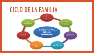 CICLO DE LA FAMILIA
 