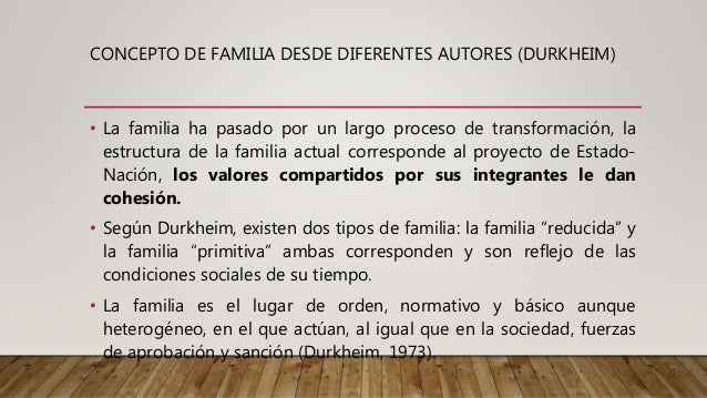 Que Es La Familia Segun Autores