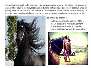 Cet animal respecté jadis pour son rôle déterminant en temps de paix et de guerre, et
aujourd'hui pour toute la symbolique culturelle et historique dont il est porteur. Chez les
pratiquants de la Fantasia , le cheval est un membre de la famille. Mieux encore, un
cavalier peut se priver de beaucoup de choses pour que son cheval ne manque de rien.
La Tenue du cheval :
La tenue du cheval appelée « SERJ »
est un accessoire méticuleusement
préparé pour valoriser le cheval et
exprimer l’attachement de son maître
 
