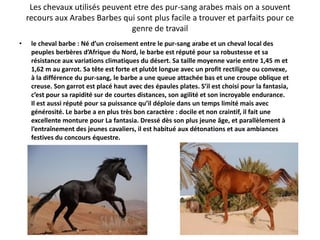 Les chevaux utilisés peuvent etre des pur-sang arabes mais on a souvent
recours aux Arabes Barbes qui sont plus facile a trouver et parfaits pour ce
genre de travail
• le cheval barbe : Né d’un croisement entre le pur-sang arabe et un cheval local des
peuples berbères d’Afrique du Nord, le barbe est réputé pour sa robustesse et sa
résistance aux variations climatiques du désert. Sa taille moyenne varie entre 1,45 m et
1,62 m au garrot. Sa tête est forte et plutôt longue avec un profit rectiligne ou convexe,
à la différence du pur-sang, le barbe a une queue attachée bas et une croupe oblique et
creuse. Son garrot est placé haut avec des épaules plates. S’il est choisi pour la fantasia,
c’est pour sa rapidité sur de courtes distances, son agilité et son incroyable endurance.
Il est aussi réputé pour sa puissance qu’il déploie dans un temps limité mais avec
générosité. Le barbe a en plus très bon caractère : docile et non craintif, il fait une
excellente monture pour La fantasia. Dressé dès son plus jeune âge, et parallèlement à
l’entraînement des jeunes cavaliers, il est habitué aux détonations et aux ambiances
festives du concours équestre.
 