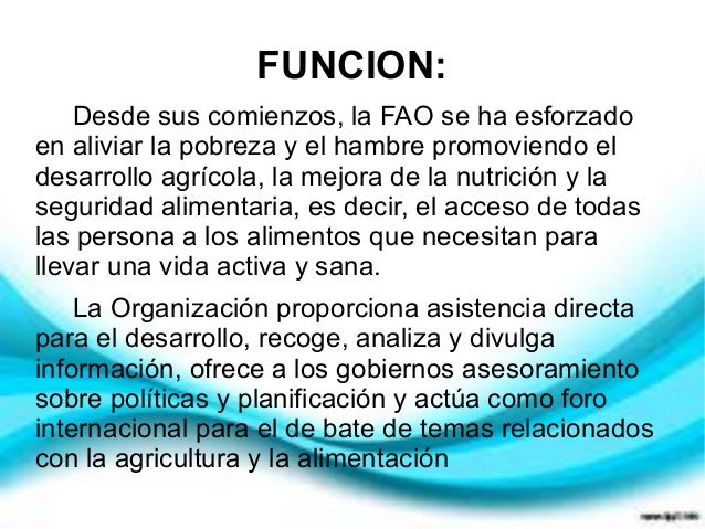 La fao. presentacion