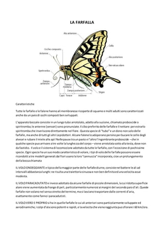 LA FARFALLA
Caratteristiche
Tutte le farfalle e le falene hannoali membranose ricoperte di squame e molti adulti sonocaratterizzati
anche da un paiodi occhi composti bensviluppati.
L’apparatoboccale consiste inunlungotubo arrotolato,adattoalla suzione,chiamatoproboscide o
spiritromba;le antenne (sensori) sonopronunciate.Il cibopreferitodelle farfallee il nettare:perestrarlo
spiritrombache inserisconodirettamente nel fiore. Questaspecie di “tubo”e undono nonsolodelle
farfalle, maanche di tutti gli altri Lepidotteri.Alcune faleneloadoperanopersinoperbucare le celle degli
alveari e rubare il miele alle api!Nellepause traunpasto e l’altrol’ingombranteproboscide –che in
qualche specie puoarrivare atre volte lalunghezzadel corpo – viene arrotolatasottoallatesta,dove non
da fastidio. Il voloe il sistemadi locomozione adottatodatutte le farfalle,conl’eccezione di pochissime
specie.Ogni specie haunsuomodocaratteristicodi volare,i tipi di volodelle farfallepossonoessere
ricondotti atre modelli generali.dai fiori usanolaloro“cannuccia”incorporata,cioe unprolungamento
dellaboccachiamata
IL VOLOONDEGGIANTE e tipicodellamaggiorparte delle farfallediurne,consistenel battere leali ad
intervalliabbastanzalunghi:ne risultaunatraiettoriasinuosae nonbendefinitaedunavelocitaassai
modesta.
IL VOLOPARACADUTATOe invece adottatodaalcune farfalle di piccole dimensioni,lacui ridottasuperficie
alare viene aumentatadafrange di peli, particolarmentenumerosi ai margini del secondopaiod’ali.Queste
farfalle nonvolanonel sensostrettodeltermine,masi lascianotrasportare dalle correnti d’aria,
esattamente come fannoi paracadutisti.
IL VOLOVERO E PROPRIOsi ha in quelle farfalle le cui ali anteriori sonoparticolarmente sviluppate ed
aerodinamiche,i colpi d’alasonopotenti e rapidi,e lavelocitache vieneraggiuntapuosfiorare i 60 km/ora.
 