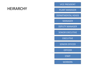 VICE PRESIDENT

HEIRARCHY     PLANT MANAGER

            DEPARTMENTAL HEADS

                MANAGER

             DEPUTY MANAGER

             SENIOR EXECUTIVE

                EXECUTIVE

              SENIOR OFFICER

                 OFFICER

                  STAFF

                 WORKERS
 