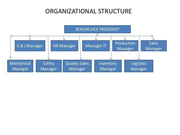 Lafarge Organizational Chart