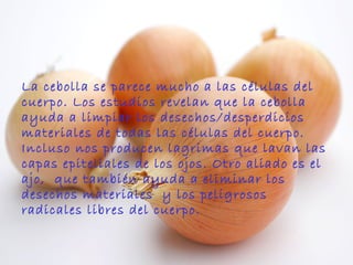 La cebolla se parece mucho a las células del cuerpo. Los estudios revelan que la cebolla ayuda a limpiar los desechos/desperdicios materiales de todas las células del cuerpo. Incluso nos producen lagrimas que lavan las capas epiteliales de los ojos. Otro aliado es el ajo,  que también ayuda a eliminar los desechos materiales  y los peligrosos radicales libres del cuerpo.  